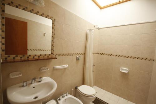 a bathroom with a sink and a toilet and a shower at El Gualicho Hostel in Puerto Madryn