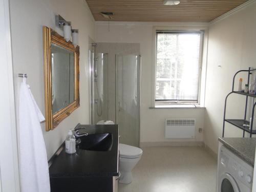 a bathroom with a sink and a toilet and a window at Thinghuskroen in Vestervig