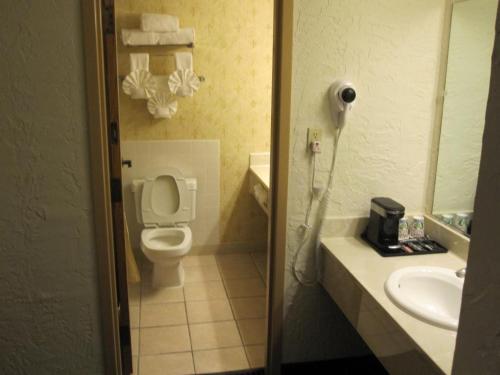 Ein Badezimmer in der Unterkunft The Chateau Bloomington Hotel and Conference Center