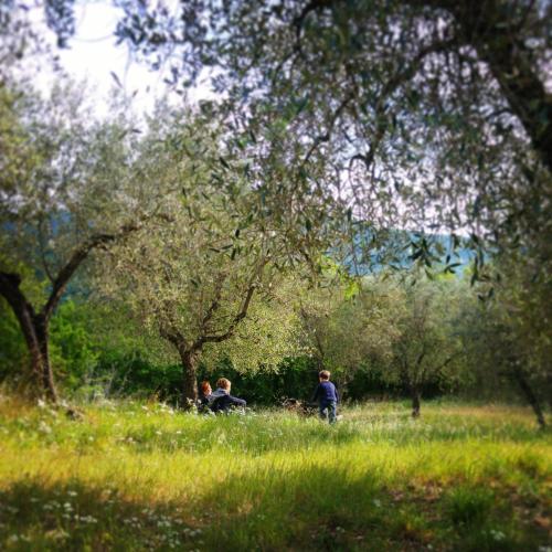 a group of people sitting in the grass in a field at Agriturismo La Fontaccia in Rufina