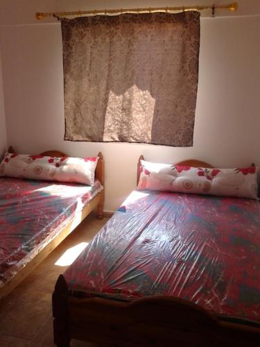two beds in a room with a window at شقة شاطيء النخيل -بالما كورت in Alexandria