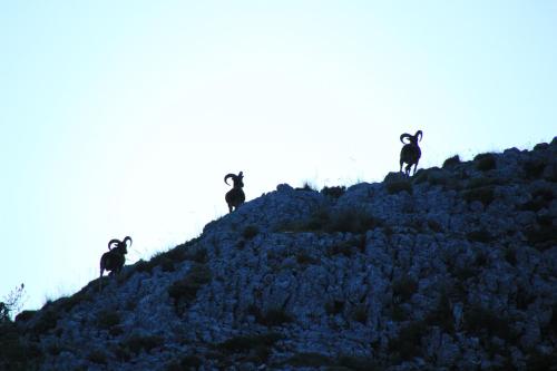 Επισκέπτες που μένουν στο Alojamiento aguasblanquillas