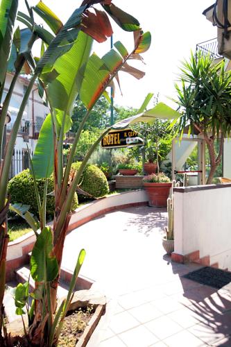 a palm tree in a garden with a bus in the background at Hotel Il Ceppo in Agropoli