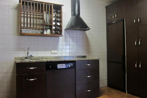 eine Küche mit einer Spüle und einem Herd Top-Backofen in der Unterkunft Agroturismo Abaienea in Vitoria-Gasteiz