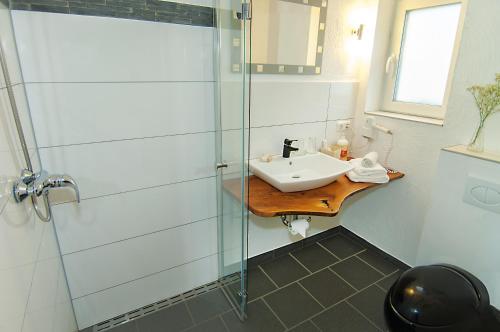 a bathroom with a sink and a glass shower at Hotel garni Godenhof in Wanderup