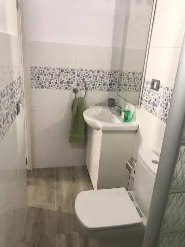 La petite salle de bains est pourvue de toilettes et d'un lavabo. dans l'établissement Casa Elisa Canarias, à Fataga