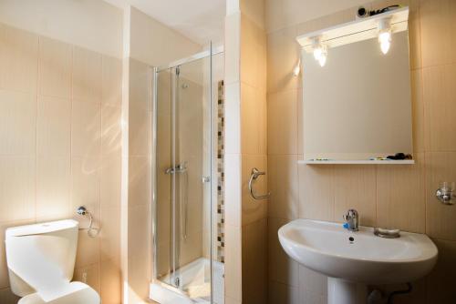 a bathroom with a shower and a toilet and a sink at Residence Piata Sfatului in Braşov