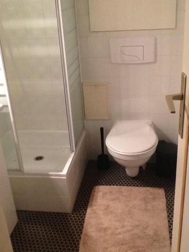 レ・デュー・アルプにあるDiamant 3 Fの小さなバスルーム(トイレ、シャワー付)