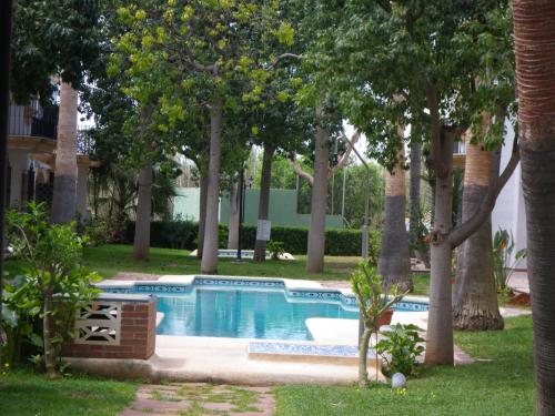 デニアにあるRicky´s village El Patioの木の植わる庭のスイミングプール