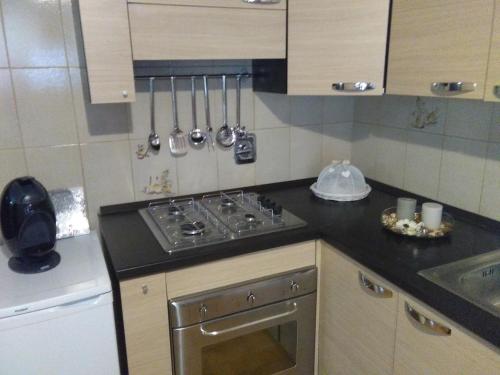 La rosa sul lago في ترفيجنانو رومانو: مطبخ صغير مع موقد ومغسلة