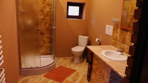 W łazience znajduje się prysznic, toaleta i umywalka. w obiekcie Rezydencja Maximus w mieście Karpacz