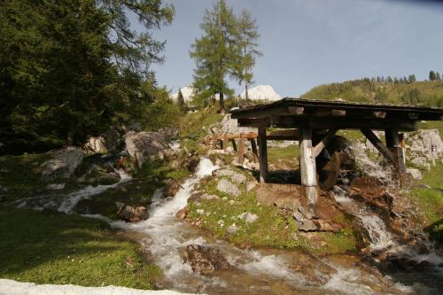 Příroda nedaleko apartmánu