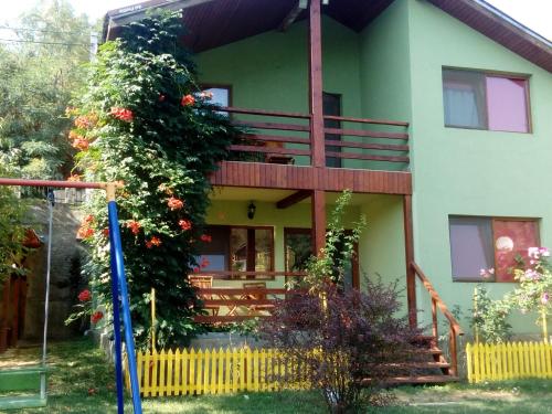 a green house with a balcony and flowers at Casa Rares in Orşova