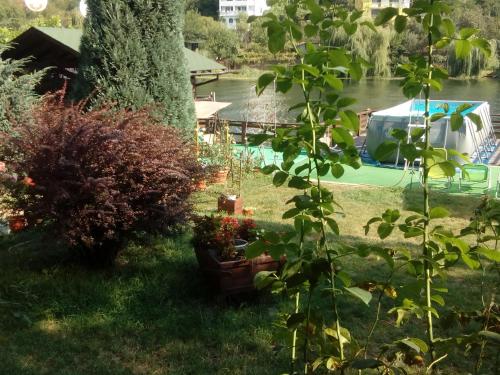 a view from the garden of a boat on the river at Casa Rares in Orşova