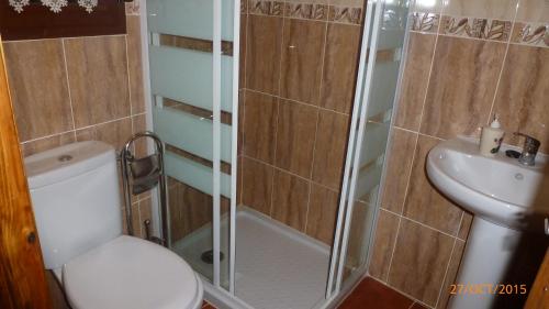 y baño con ducha, aseo y lavamanos. en Casa Rural Marina, en Curiel de Duero