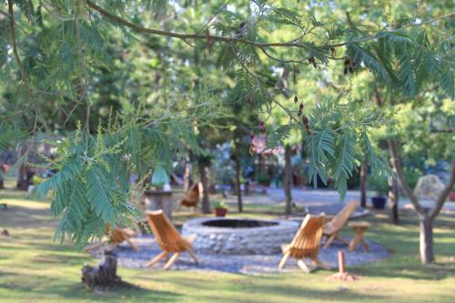 a park with chairs in front of a fire pit at Bosques de San José Lodge in Algarrobo