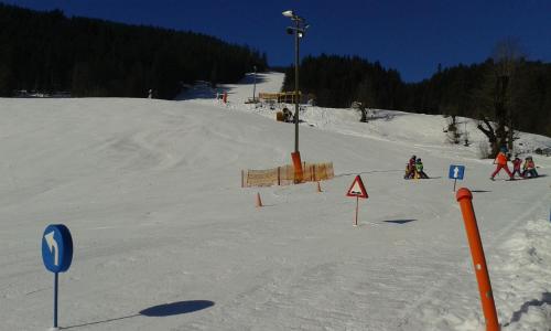 a group of people skiing down a snow covered slope at Ferienwohnung Peter Egger in Gosau