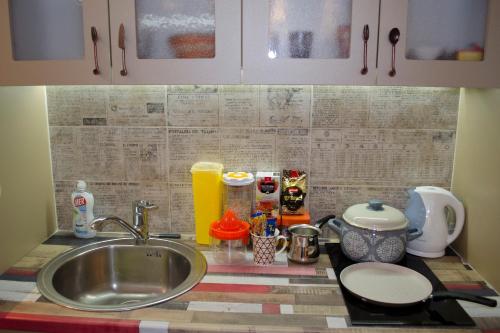 a kitchen counter top with a sink and a counter top at Nikola's Apartment in Belgrade