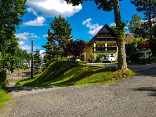 a house on top of a hill with a tree at Hotel Sonne in Seiffen