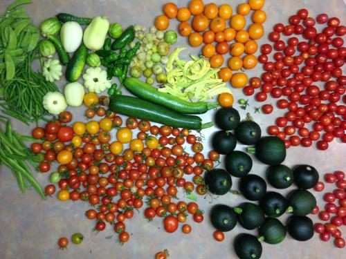 a pile of different types of vegetables on a table at Wombat Forest Country Retreat in Trentham East
