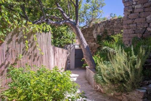 a gate in a brick wall with a tree in a garden at Il Gamberino in Capraia