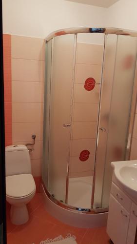 a bathroom with a shower with a toilet and a sink at Agroturystyka Jędruś - Nocując u nas otrzymasz 20 procent zniżki na termy Gorący Potok i Szaflary in Szaflary