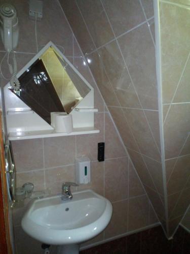 a bathroom with a sink and a mirror at Viola i Detelina Apartments in Perućac