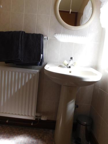 a bathroom with a sink and a mirror at The Railway Inn in Forden