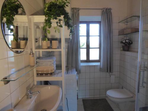 a bathroom with a sink and a toilet and a mirror at Lexsimihof in Wildon