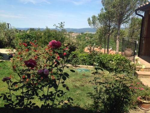 a garden with flowers and a view of the mountains at La Biocca in Poggio Murella