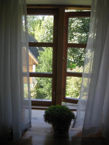 an open window with a potted plant in front of it at Naboløs Rooms, near Munkebo, Kerteminde and Nyborg in Bovense