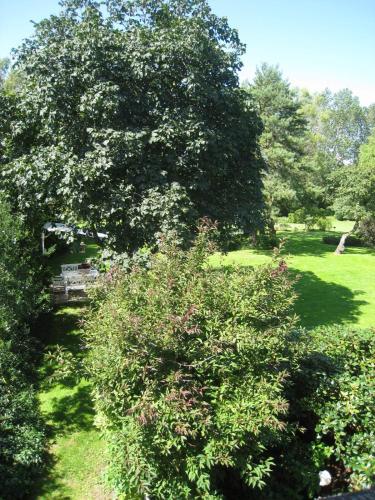 a tree with white flowers in a park at Naboløs Rooms, near Munkebo, Kerteminde and Nyborg in Bovense