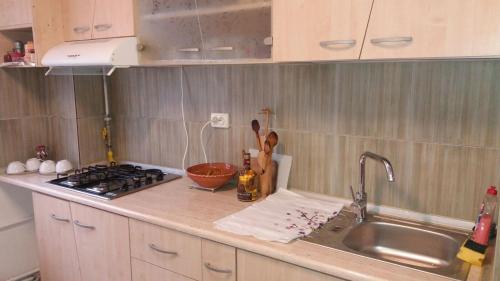 Kuchyň nebo kuchyňský kout v ubytování Apartament Valcea Central