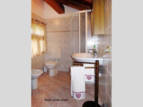 a bathroom with a toilet and a sink at Chalet Martina in Macugnaga