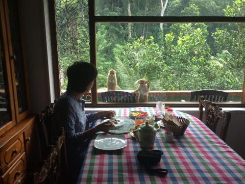 Gallery image of Green Woods in Kandy