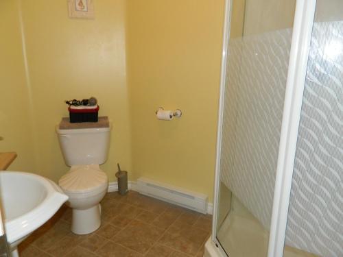a bathroom with a toilet and a sink and a shower at Whitsha Inn B&B in Twillingate