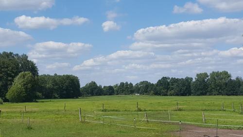 a field with a fence and trees in the background at Woodhouse Spreewiesen in Burig