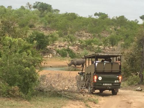 a jeep driving down a dirt road with an elephant in the background at MANZINI RIVER HOUSE - Mjejane Private Game Reserve, Greater Kruger National Park in Hectorspruit