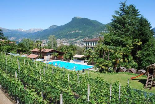 a resort with a swimming pool in a vineyard at Hotel&Hostel Montarina in Lugano