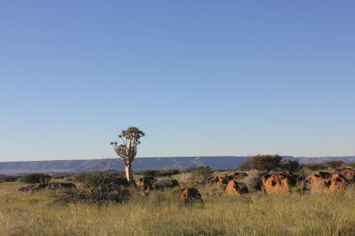 Un paisaje natural cerca del lodge