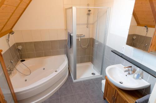 a bathroom with a shower and a tub and a sink at Ferienwohnung Pforte 7 in Dalheim