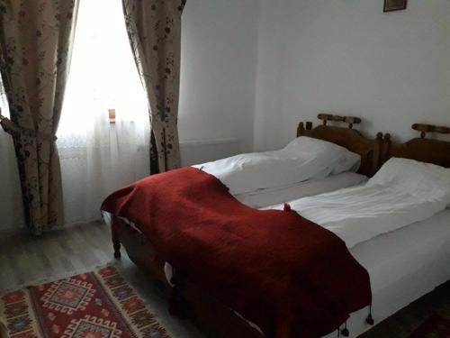 a bedroom with a bed with a red blanket on it at Pensiunea Elena in Criţ