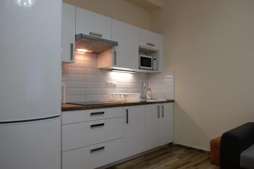 Η κουζίνα ή μικρή κουζίνα στο Diana Apartments Karlovy Vary