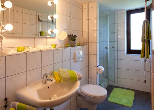 a bathroom with a sink and a toilet and a mirror at Ferienweingut Pies Ellenz-Poltersdorf in Ellenz-Poltersdorf