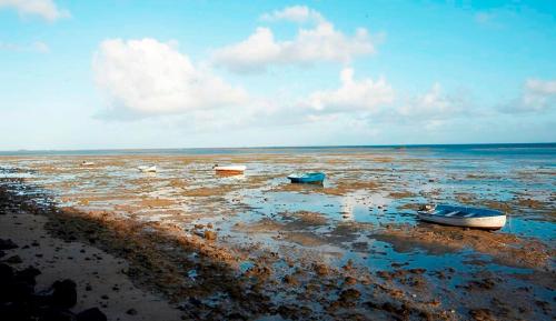 Gallery image of Cocotiers Hotel - Rodrigues in Rodrigues Island