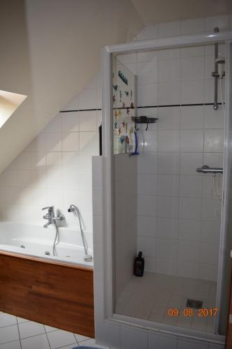 a bathroom with a shower and a bath tub at Au calme in Houssay