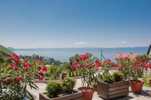 Gallery image of Villa Stefanoski in Konsko