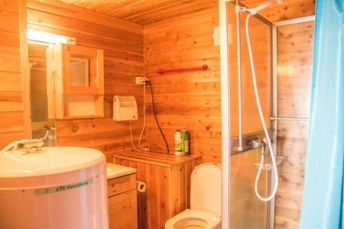 a bathroom with a toilet and a shower in it at Seljenes Cottage in Russenes