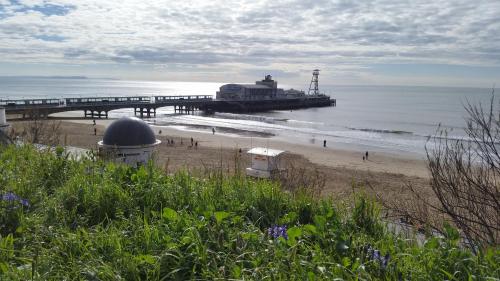 a beach with a pier and people on the beach at Hotel Balmoral in Bournemouth