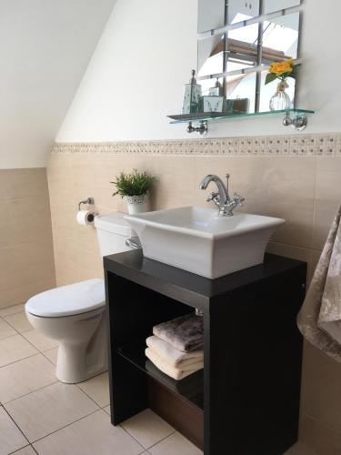 a bathroom with a sink and a toilet at Burrowlodge in Kilfenora